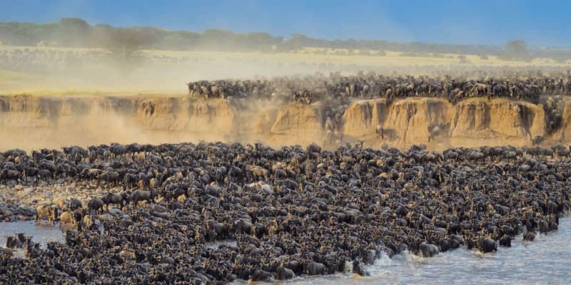 7 Days Great Migration Safari